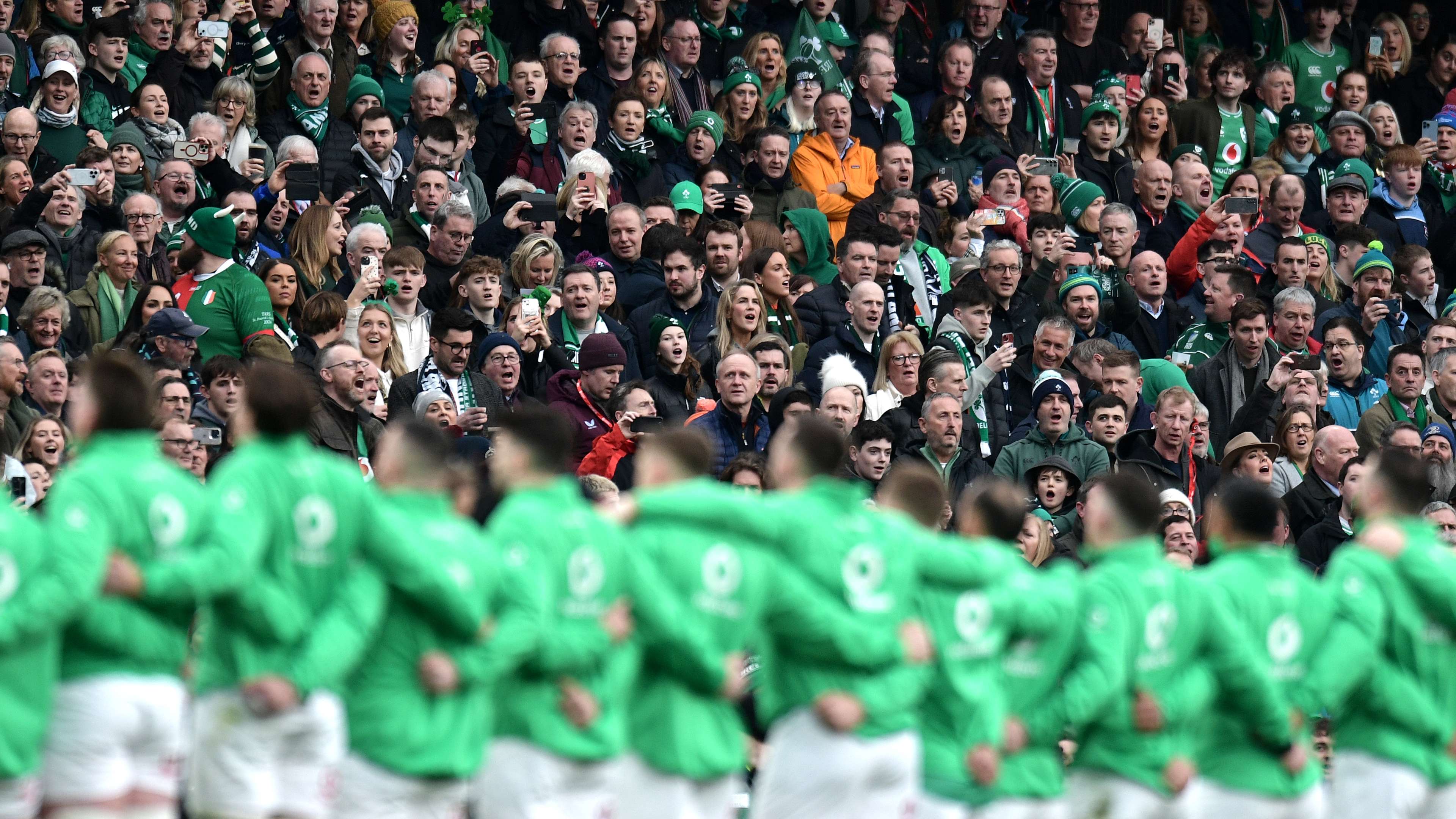 高的本土球 高的本土球